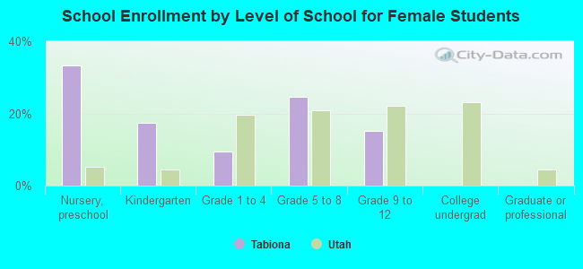 School Enrollment by Level of School for Female Students