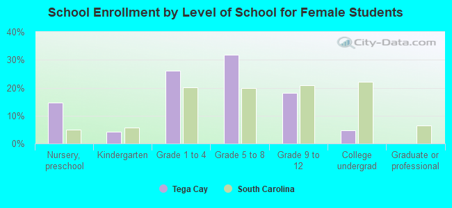 School Enrollment by Level of School for Female Students