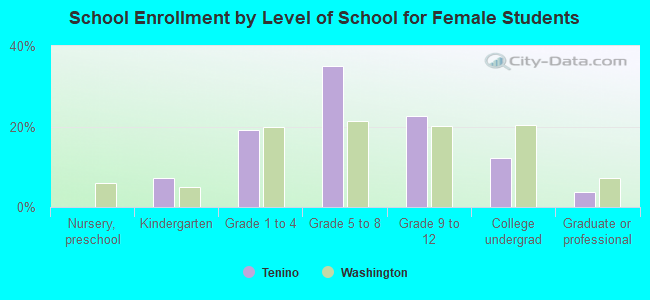 School Enrollment by Level of School for Female Students