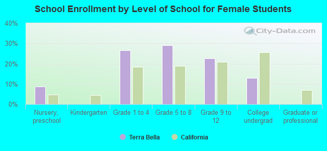 School Enrollment by Level of School for Female Students