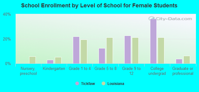 School Enrollment by Level of School for Female Students