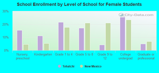 School Enrollment by Level of School for Female Students