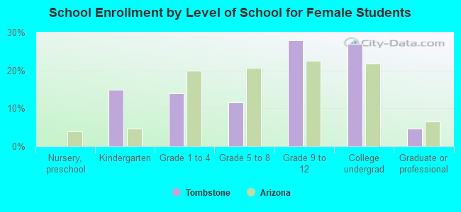 School Enrollment by Level of School for Female Students