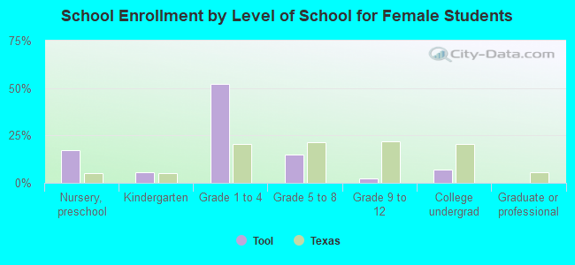 School Enrollment by Level of School for Female Students