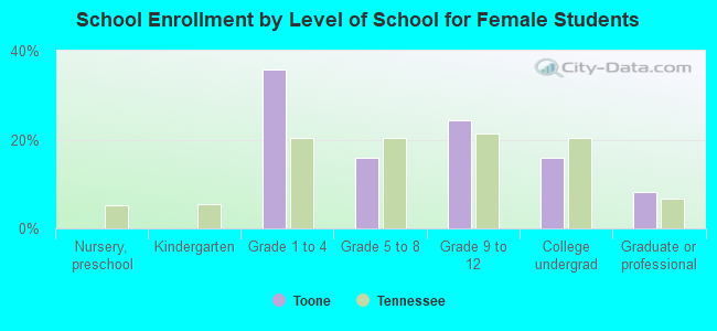 School Enrollment by Level of School for Female Students