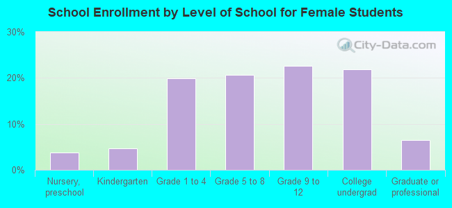 School Enrollment by Level of School for Female Students