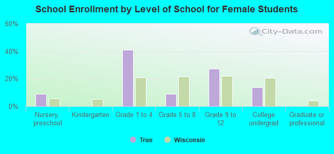 School Enrollment by Level of School for Female Students