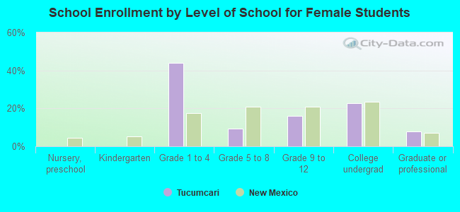 School Enrollment by Level of School for Female Students