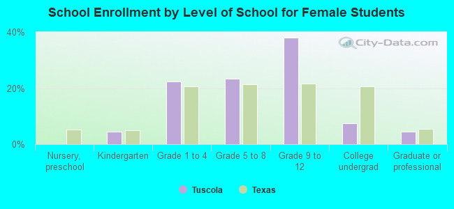 School Enrollment by Level of School for Female Students