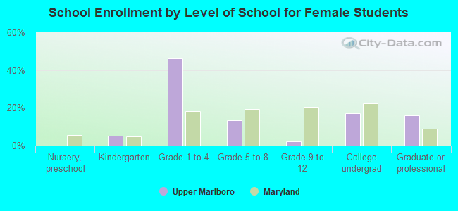 School Enrollment by Level of School for Female Students