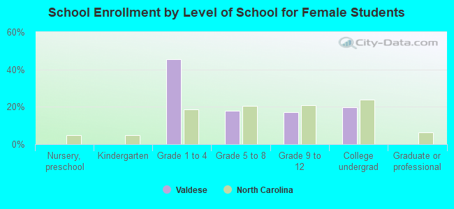 School Enrollment by Level of School for Female Students