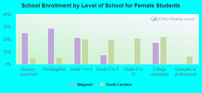 School Enrollment by Level of School for Female Students