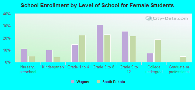 School Enrollment by Level of School for Female Students