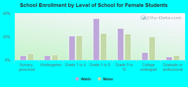 School Enrollment by Level of School for Female Students