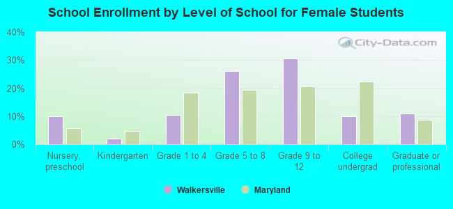 School Enrollment by Level of School for Female Students