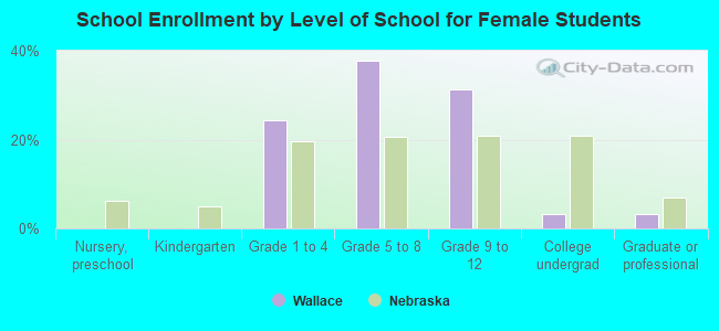 School Enrollment by Level of School for Female Students