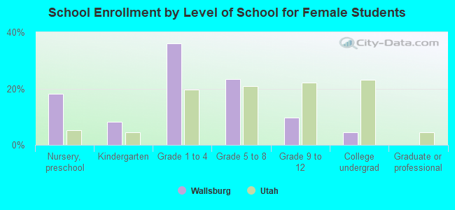 School Enrollment by Level of School for Female Students