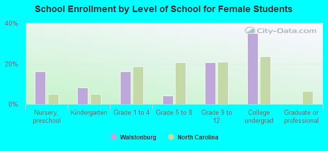 School Enrollment by Level of School for Female Students