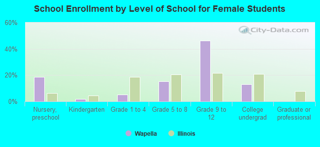 School Enrollment by Level of School for Female Students