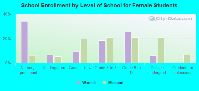 School Enrollment by Level of School for Female Students