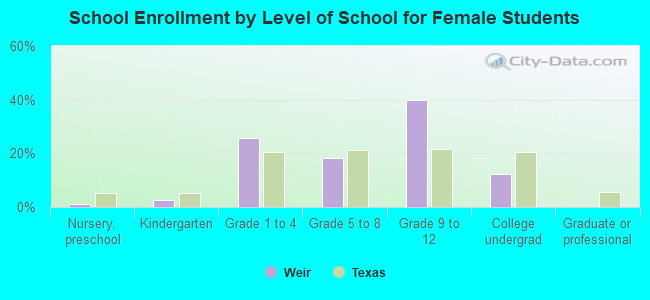 School Enrollment by Level of School for Female Students