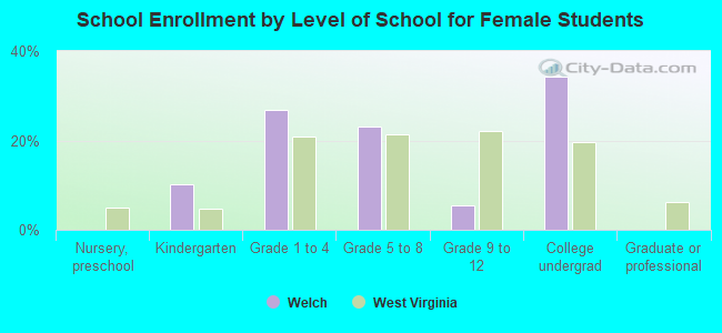 School Enrollment by Level of School for Female Students