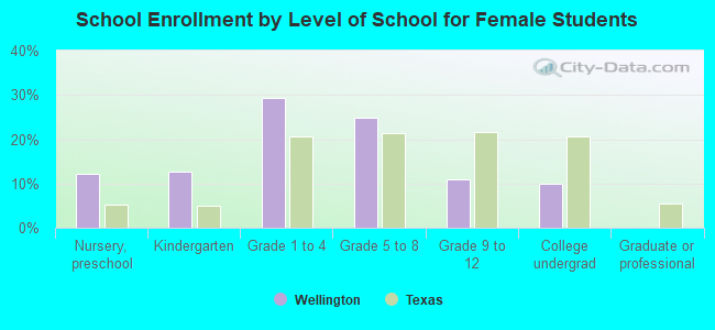 School Enrollment by Level of School for Female Students