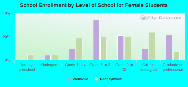 School Enrollment by Level of School for Female Students