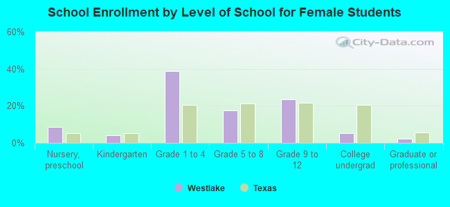 School Enrollment by Level of School for Female Students