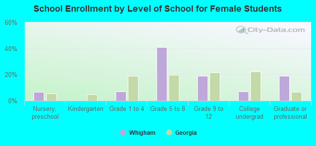 School Enrollment by Level of School for Female Students