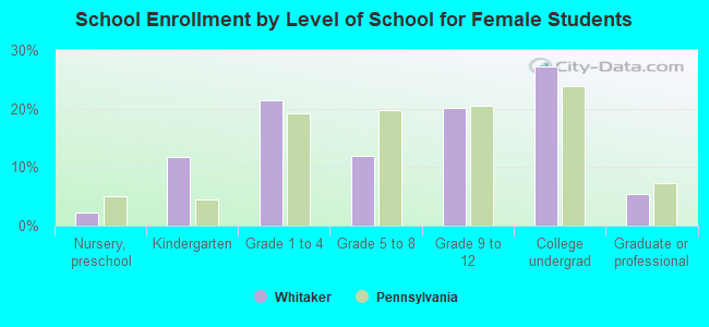 School Enrollment by Level of School for Female Students