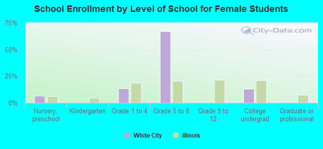 School Enrollment by Level of School for Female Students