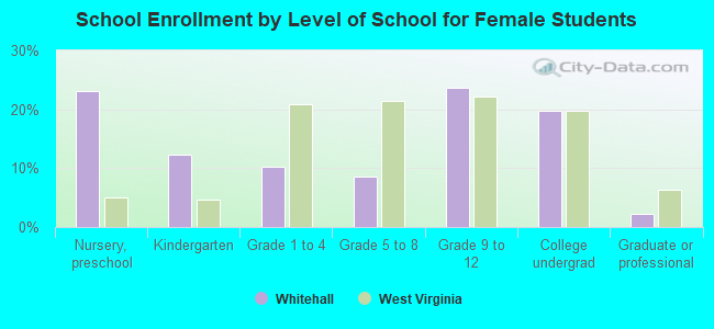 School Enrollment by Level of School for Female Students