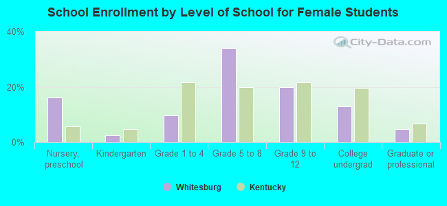 School Enrollment by Level of School for Female Students