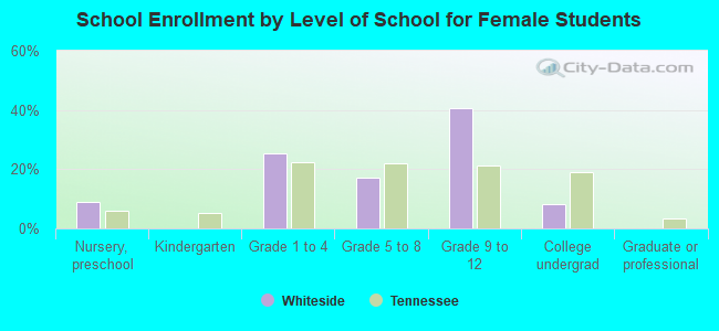 School Enrollment by Level of School for Female Students