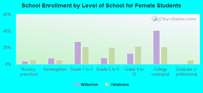 School Enrollment by Level of School for Female Students