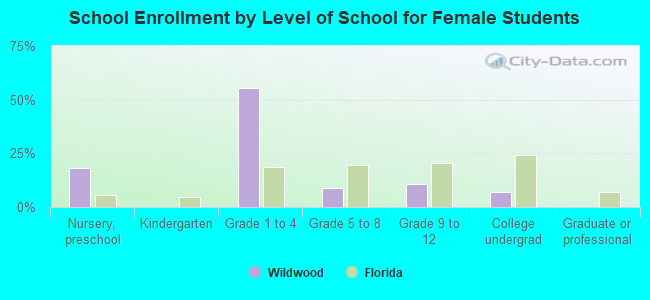 School Enrollment by Level of School for Female Students