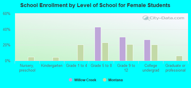 School Enrollment by Level of School for Female Students