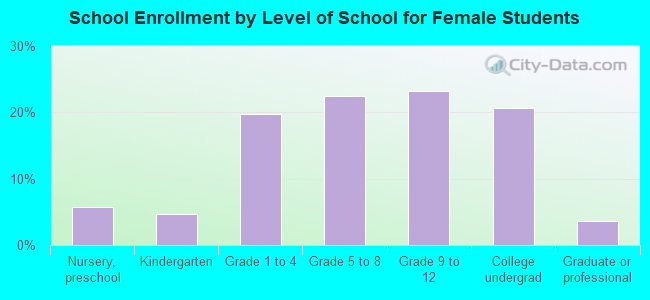 School Enrollment by Level of School for Female Students