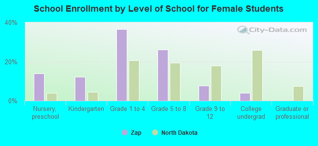 School Enrollment by Level of School for Female Students