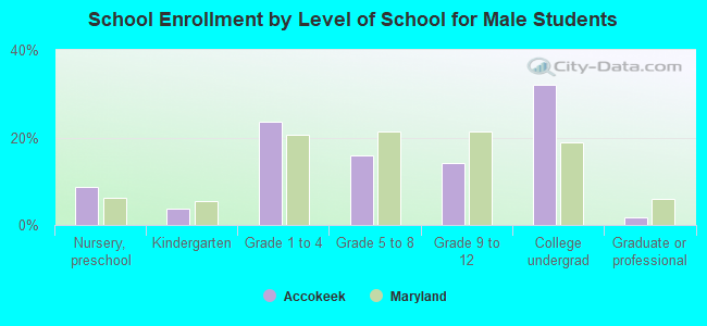 School Enrollment by Level of School for Male Students