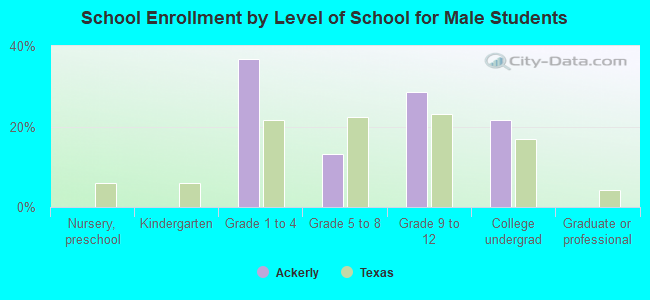 School Enrollment by Level of School for Male Students