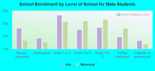 School Enrollment by Level of School for Male Students