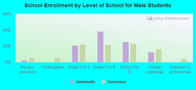 School Enrollment by Level of School for Male Students