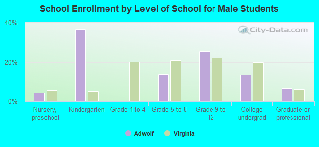 School Enrollment by Level of School for Male Students