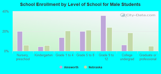 School Enrollment by Level of School for Male Students