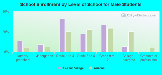 School Enrollment by Level of School for Male Students