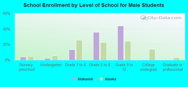 School Enrollment by Level of School for Male Students