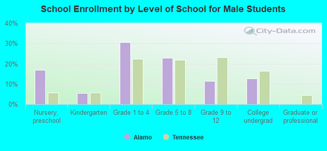 School Enrollment by Level of School for Male Students