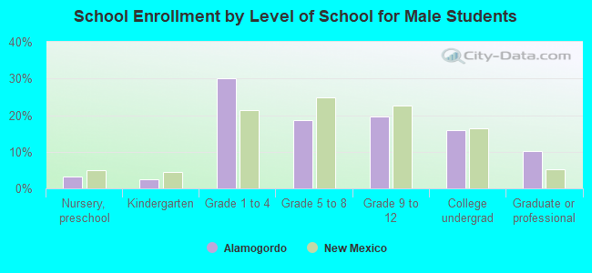 School Enrollment by Level of School for Male Students